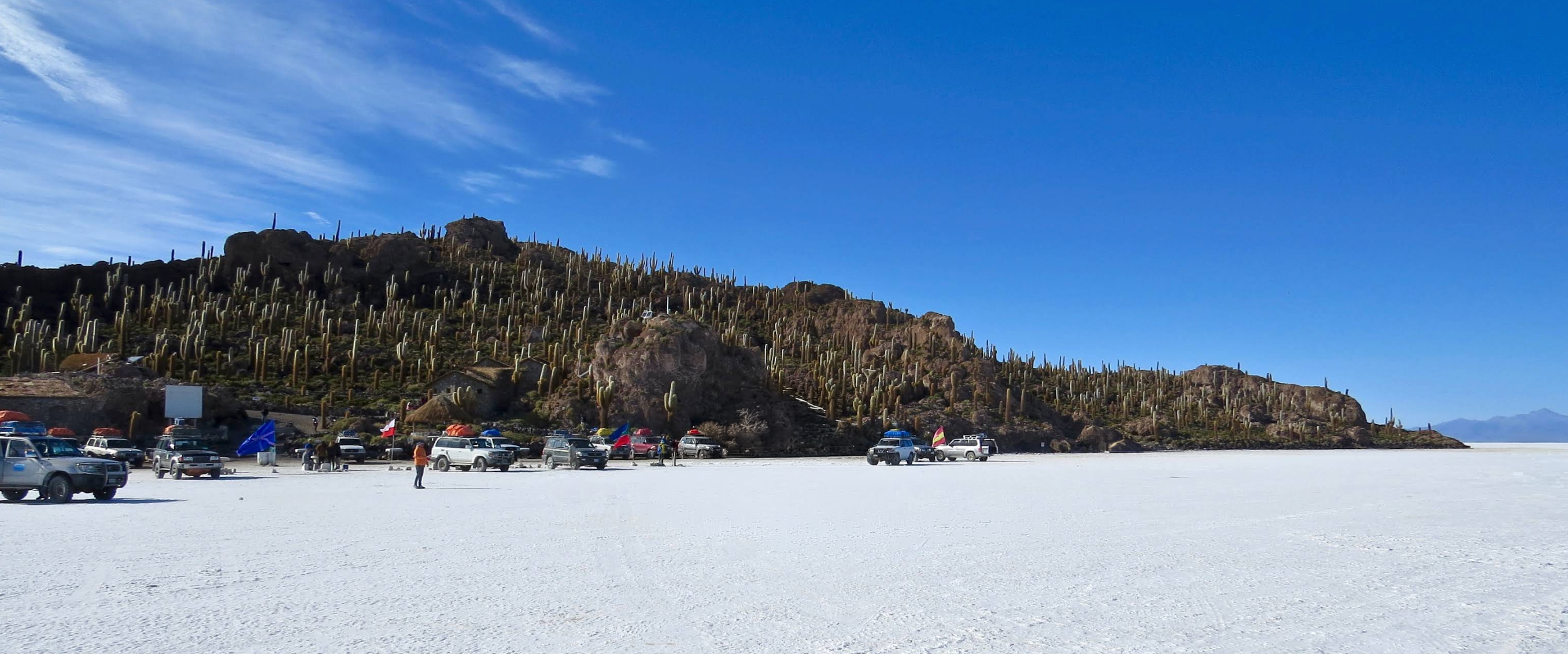 The Isla Incahuasi and surrounding salt flat landscape